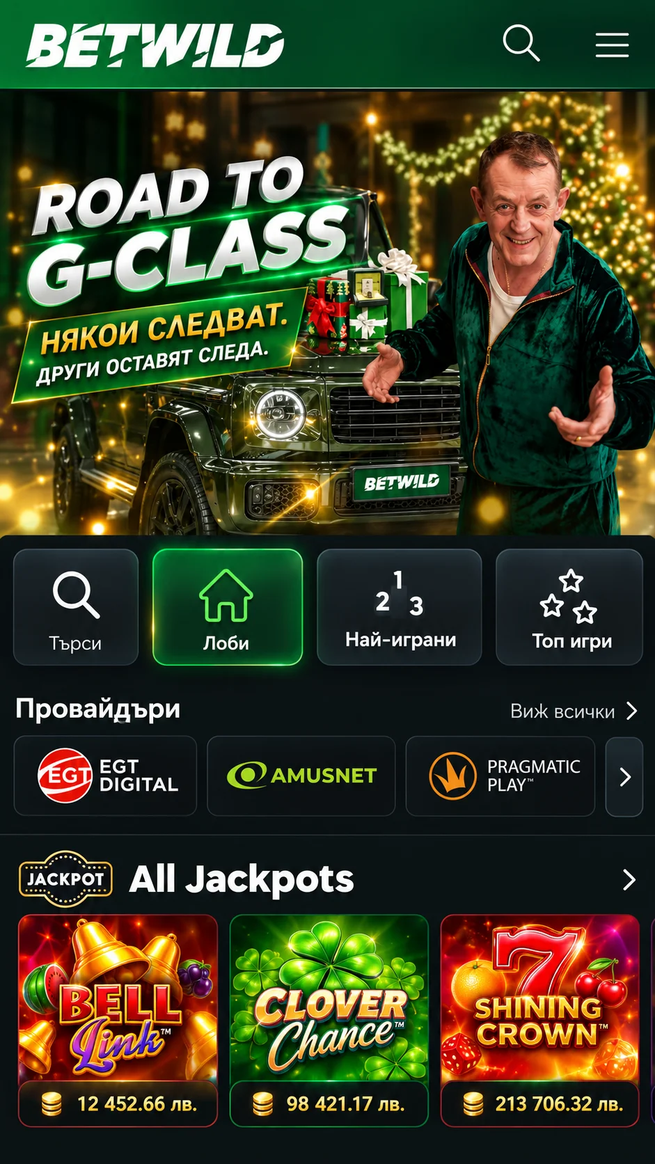 Преглед на партньорската целева страница на Betwild Casino